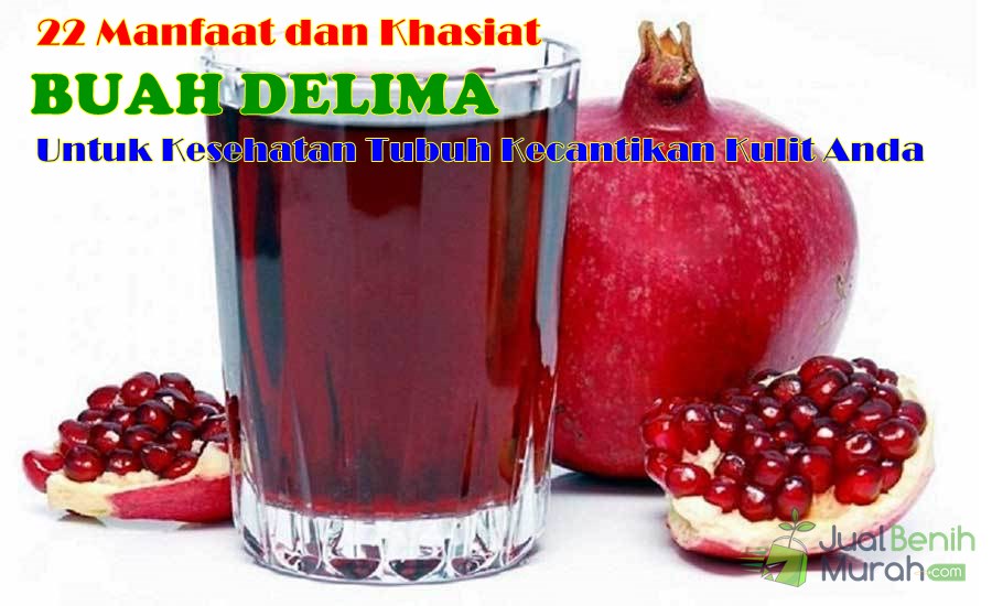 Manfaat Buah Delima