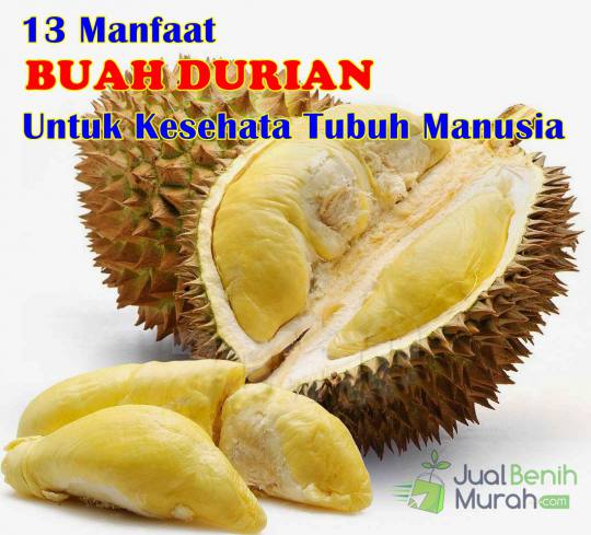 Manfaat Buah Durian