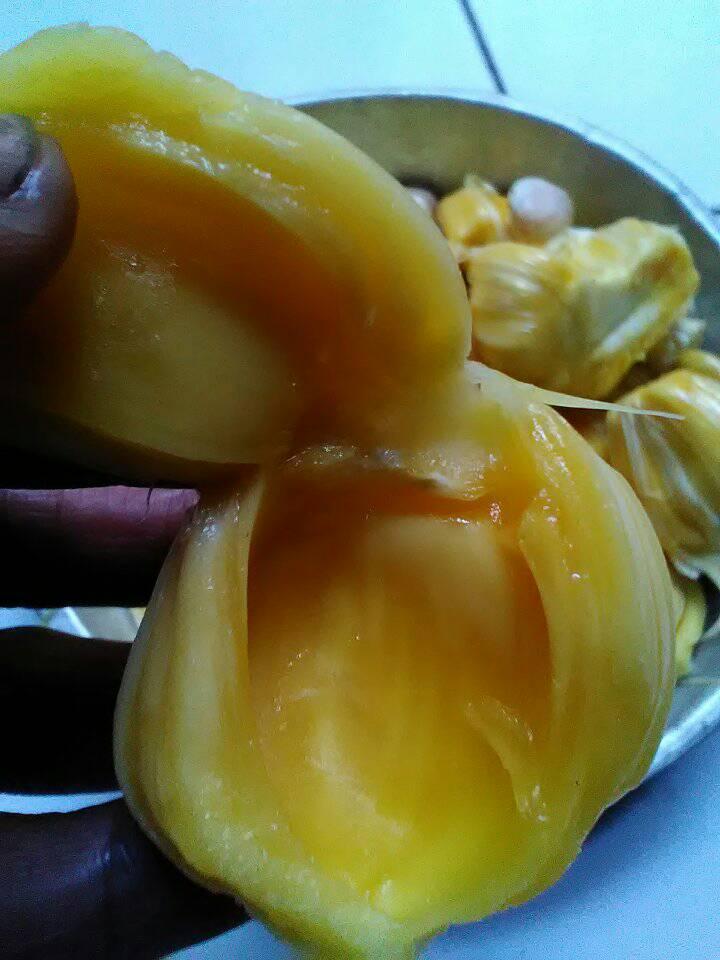 Manfaat Buah Nangka