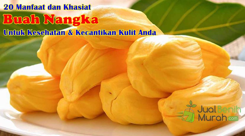 Manfaat Buah nangka