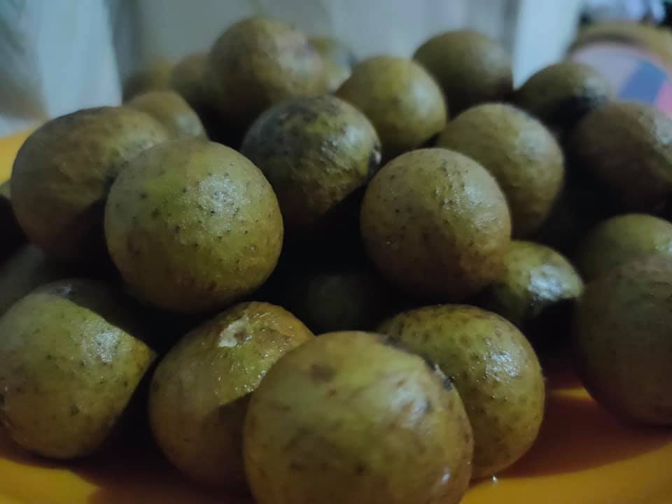 Manfaat buah kelengkeng 1