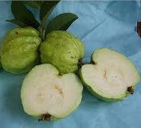 Manfaat jambu Kristal 2