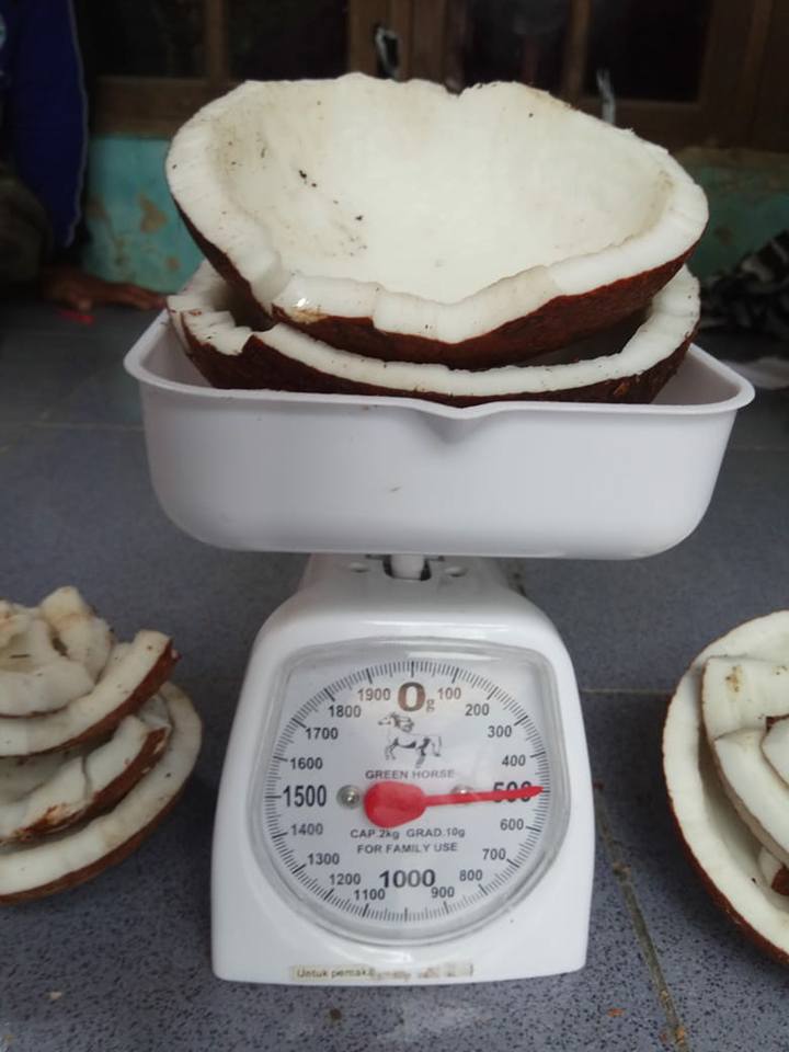 Manfaat Kelapa Genjah Entok 1