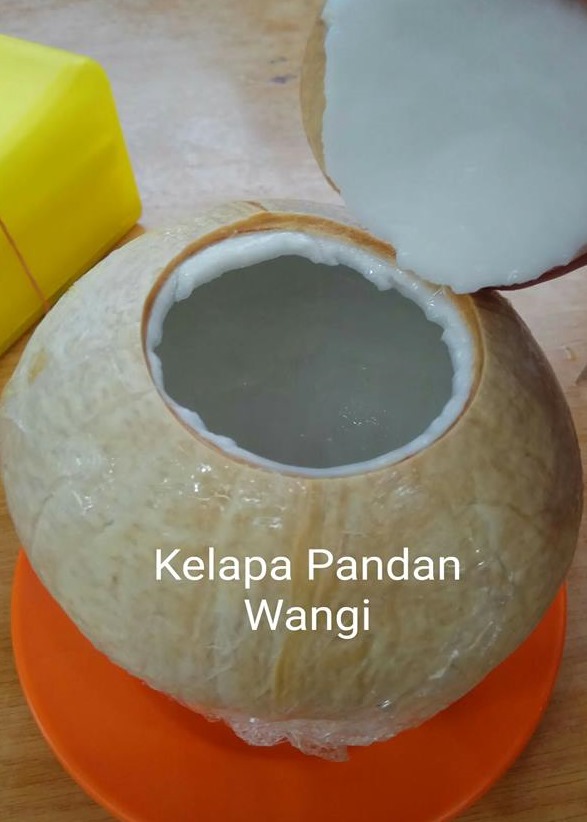Manfaat Kelapa pandan Wangi 1