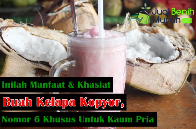 Manfaat kelapa Kopyor