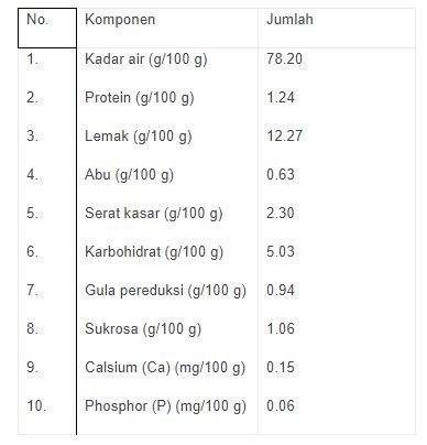 kandungan kimia kelapa kopyor