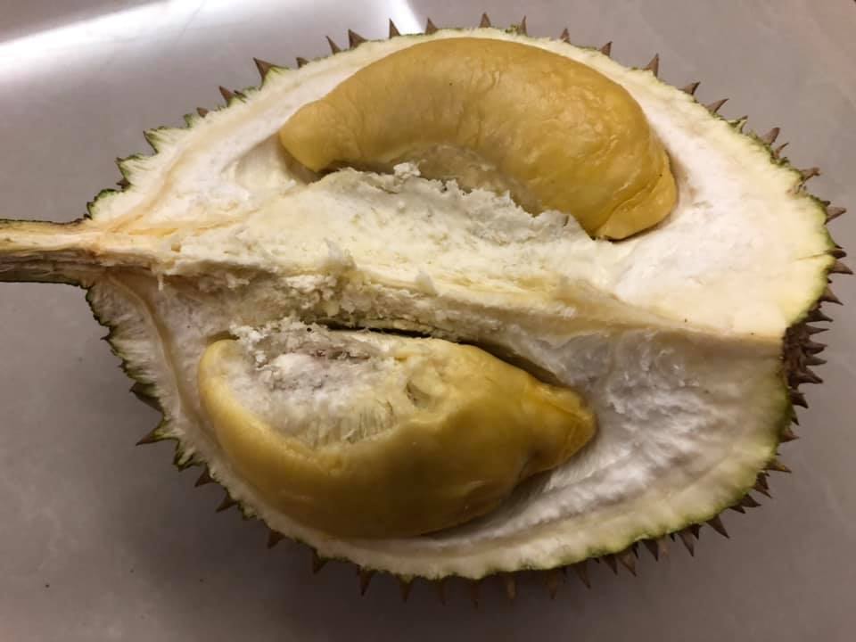 Manfaat Durian D24 Super
