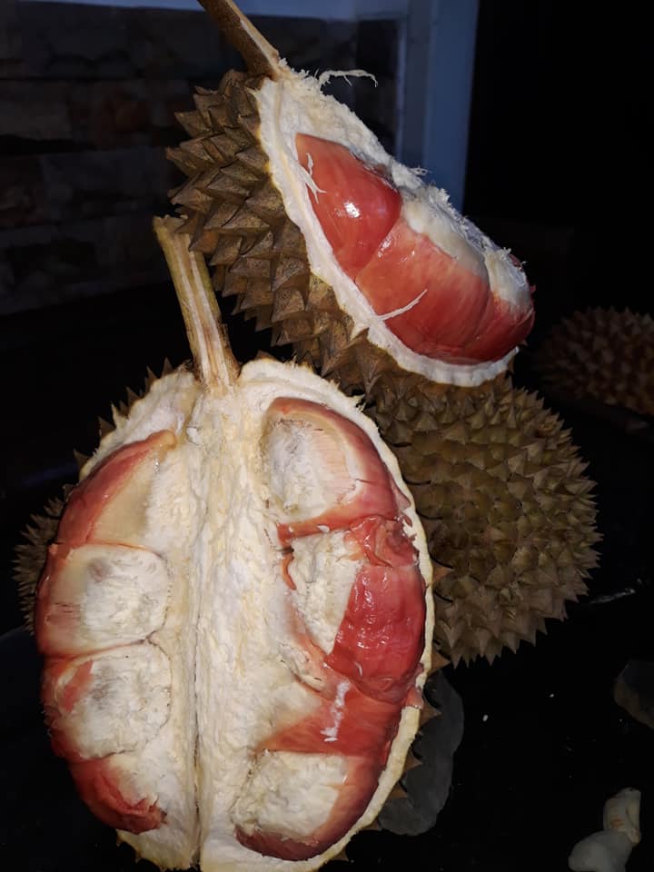 Manfaat Durian merah 7