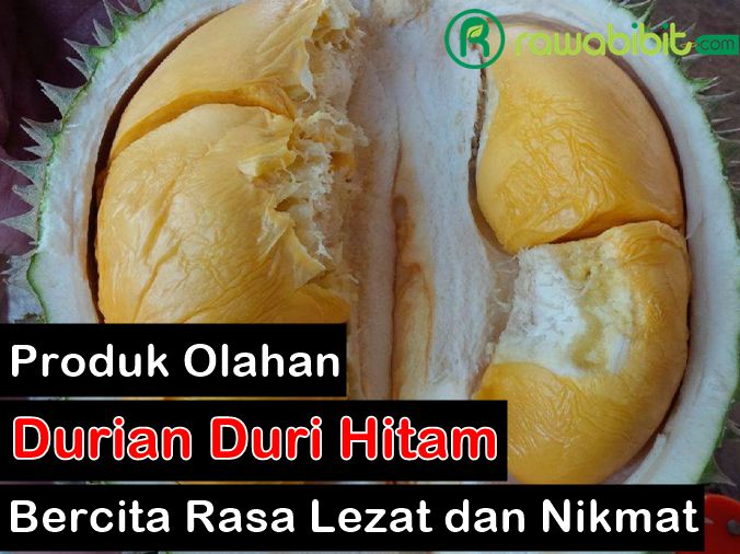 Produk Olahan Durian