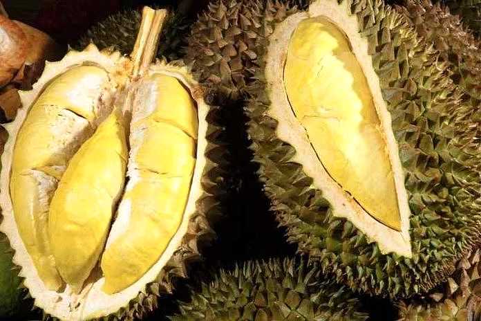 Durian Murah
