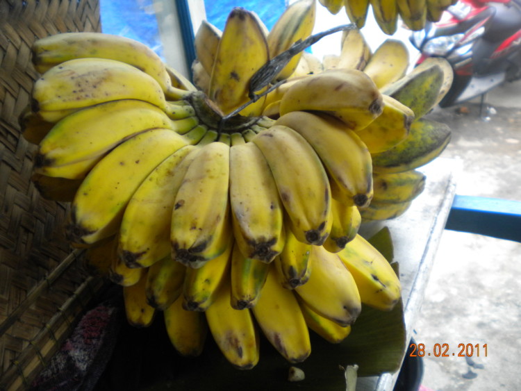 Manfaat Pisang Kepok 8