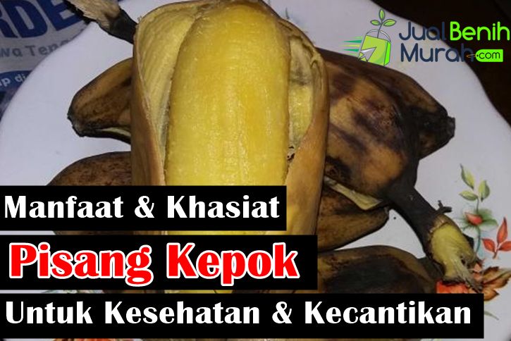 Manfaat Pisang Kepok