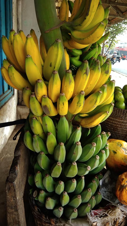 Manfaat pisang kepok 1