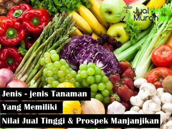 Jenis Tanaman Nilai Jual Tinggi