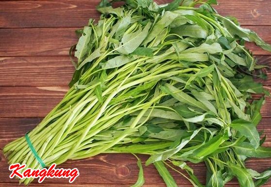 Sayuran Kangkung