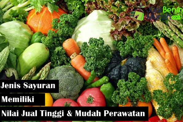 Sayuran Nilai Jual Tinggi