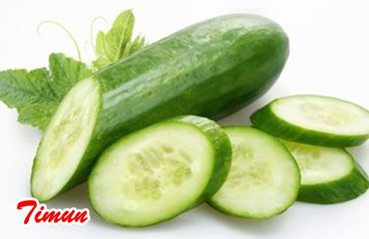 Sayuran Timun