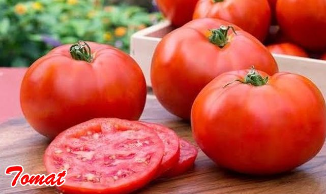 Sayuran Tomat
