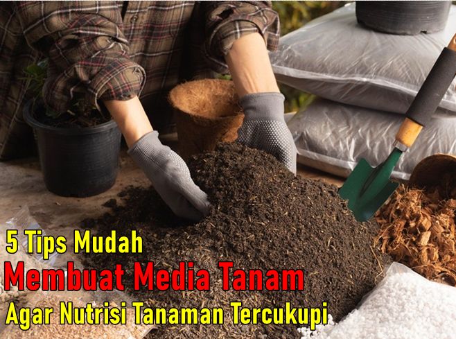 Tips Membuat Media Tanam