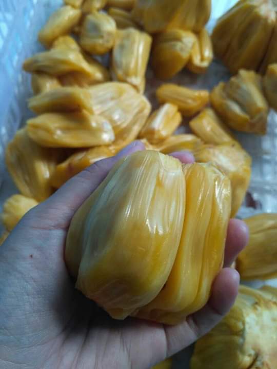 daging nangka madu