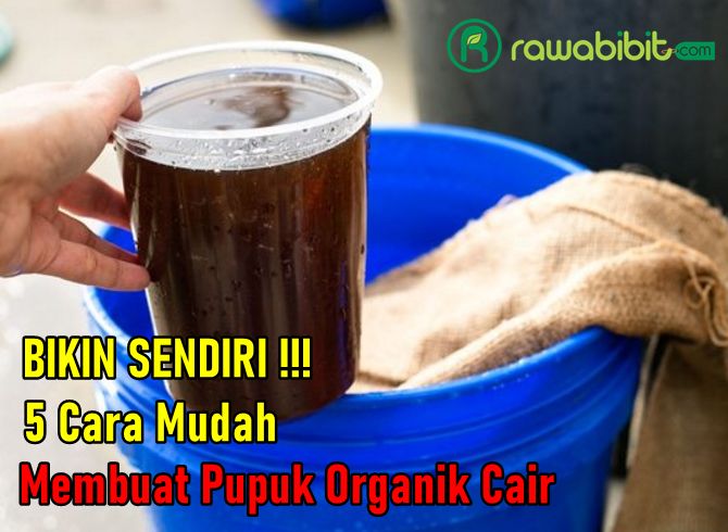 Cara Buat Pupuk Organik Cair