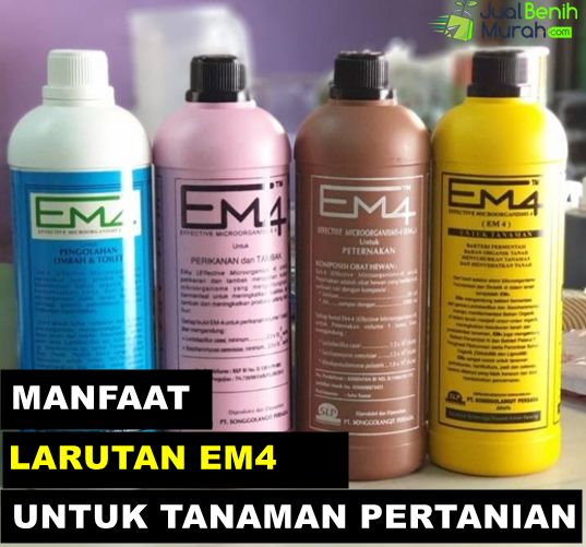 Manfaat Pupuk EM4