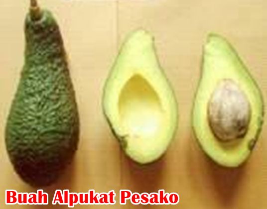 Buah Alpukat Pesako