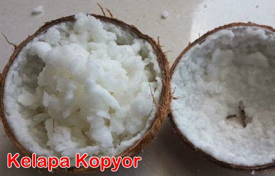Buah Kelapa Kopyor