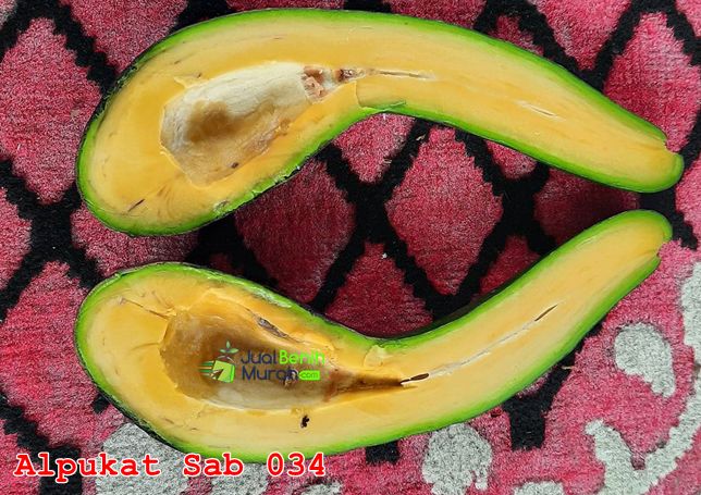Keunggulan Alpukat Sab 034 1