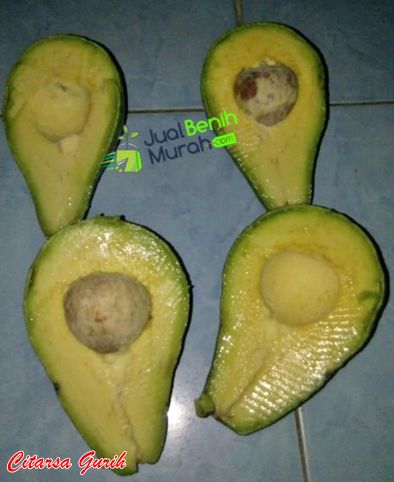 Buah Alpukat Mentega Gurih
