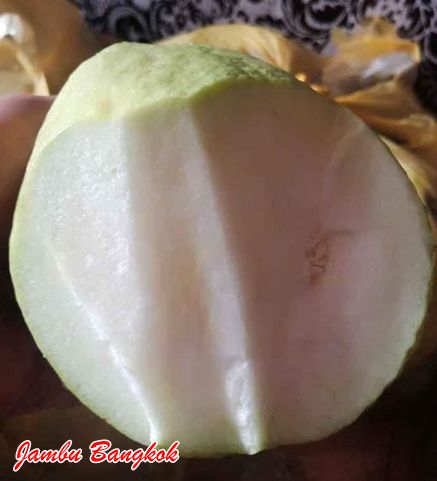 Buah jambu bangkok