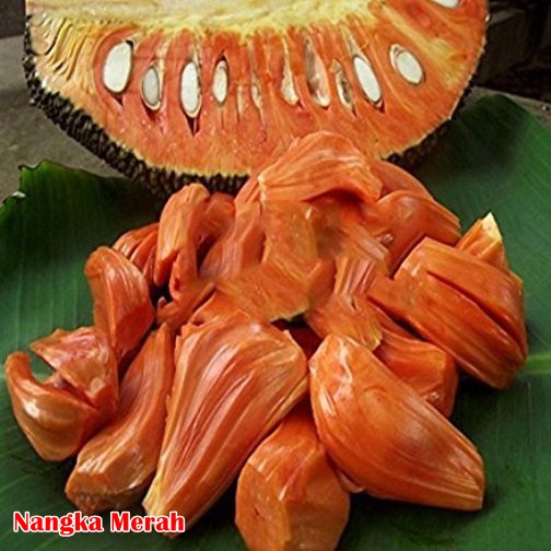 Buah Nangka Merah