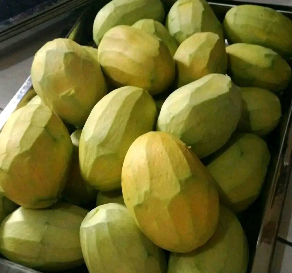Bibit Mangga Kweni