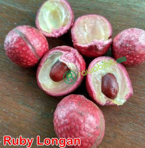 Buah Kelengkeng Merah