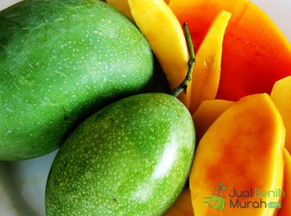 Mangga manalagi