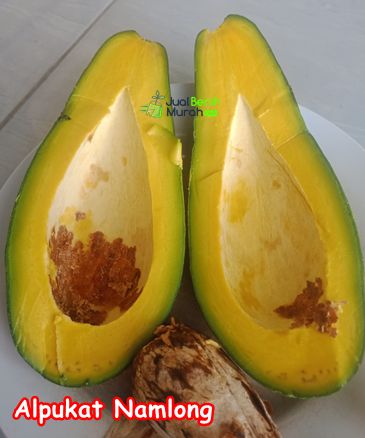 Buah Alpukat Namlong