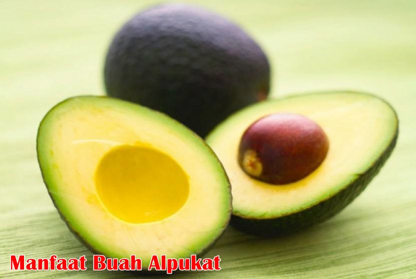 Manfaat Buah Alpukat