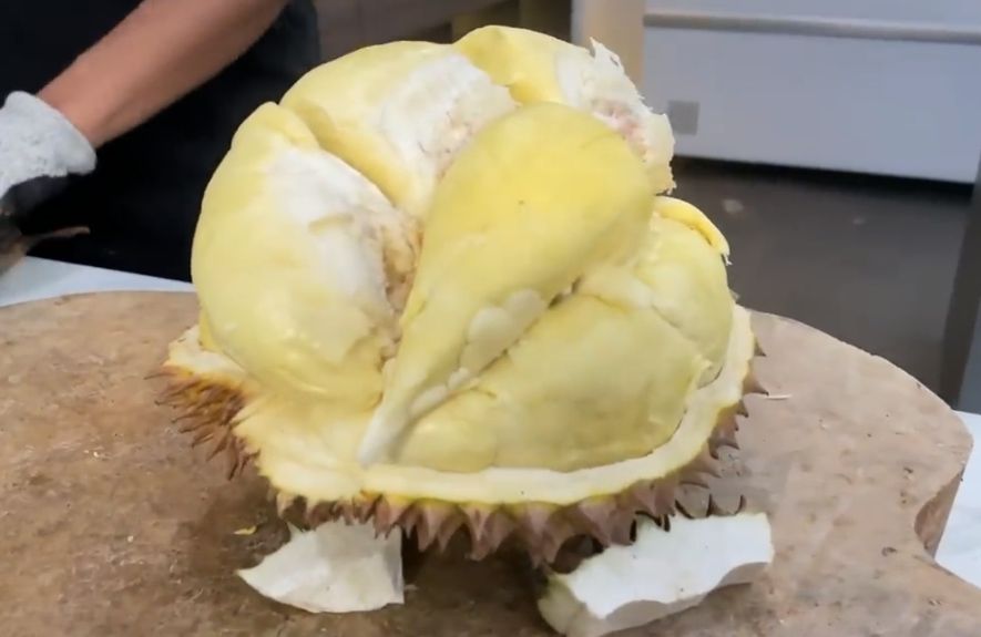Manfaat Buah Durian 2