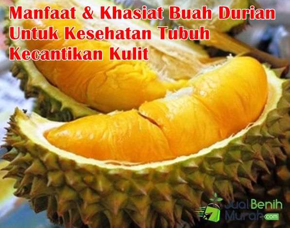 Manfaat Buah Durian