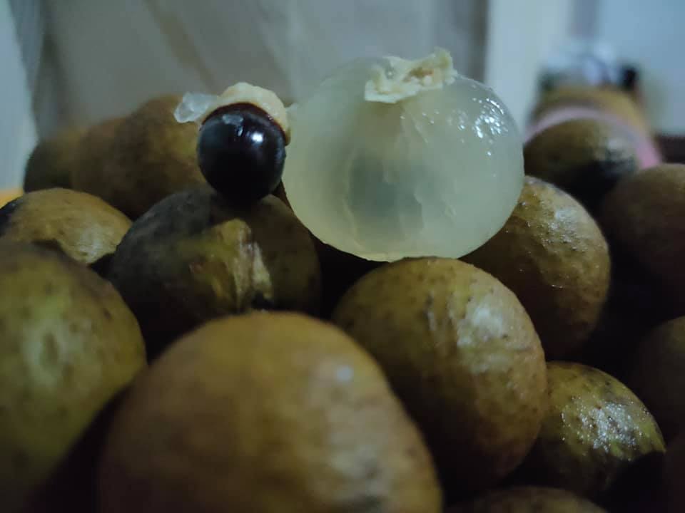 Manfaat buah kelengkeng