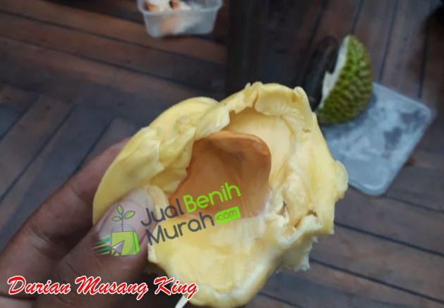 Daging Durian Musang king