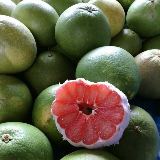 Bibit Jeruk Pamelo madu 5