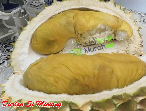 Durian Si Mimang