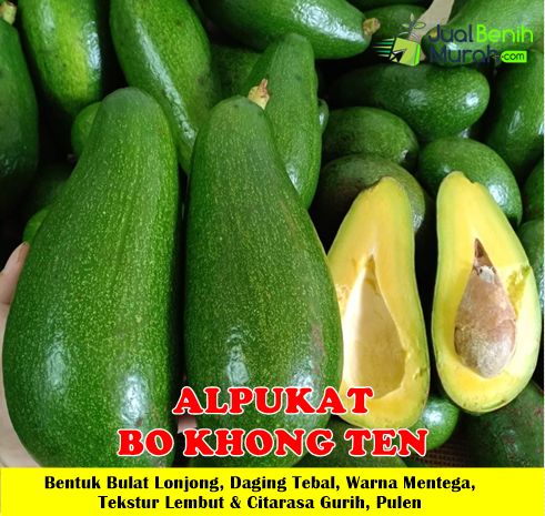 Alpukat Bo Khong Ten