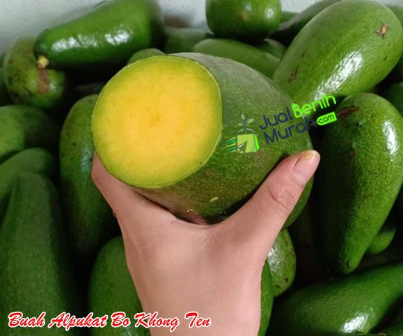 Buah Alpukat Bo Khong Ten