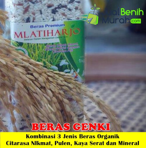 Beras Genki Mlatiharjo